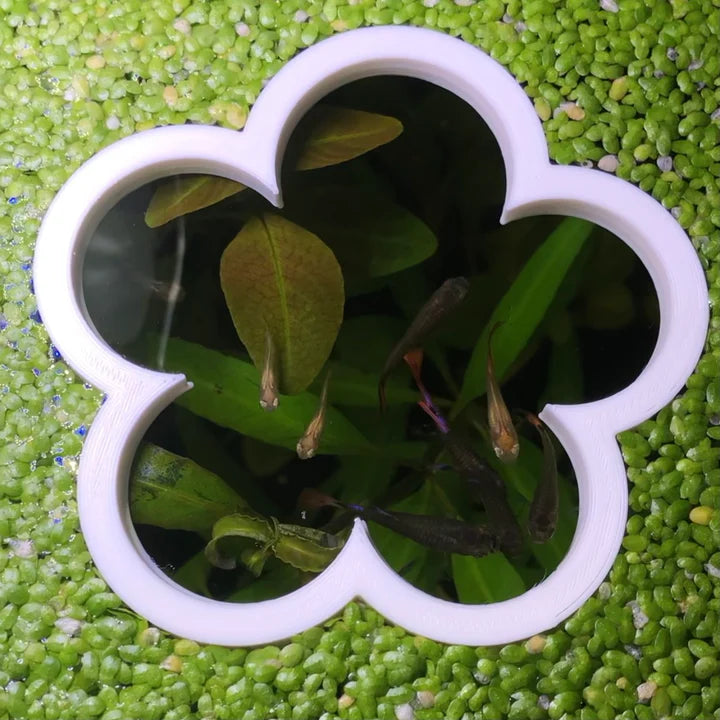 Flower Portal Feeding Ring