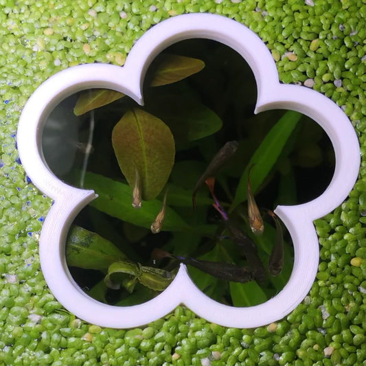 Flower Portal Feeding Ring