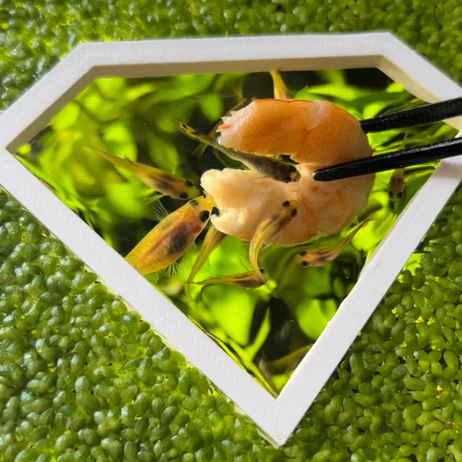 Diamond Portal Feeding Ring